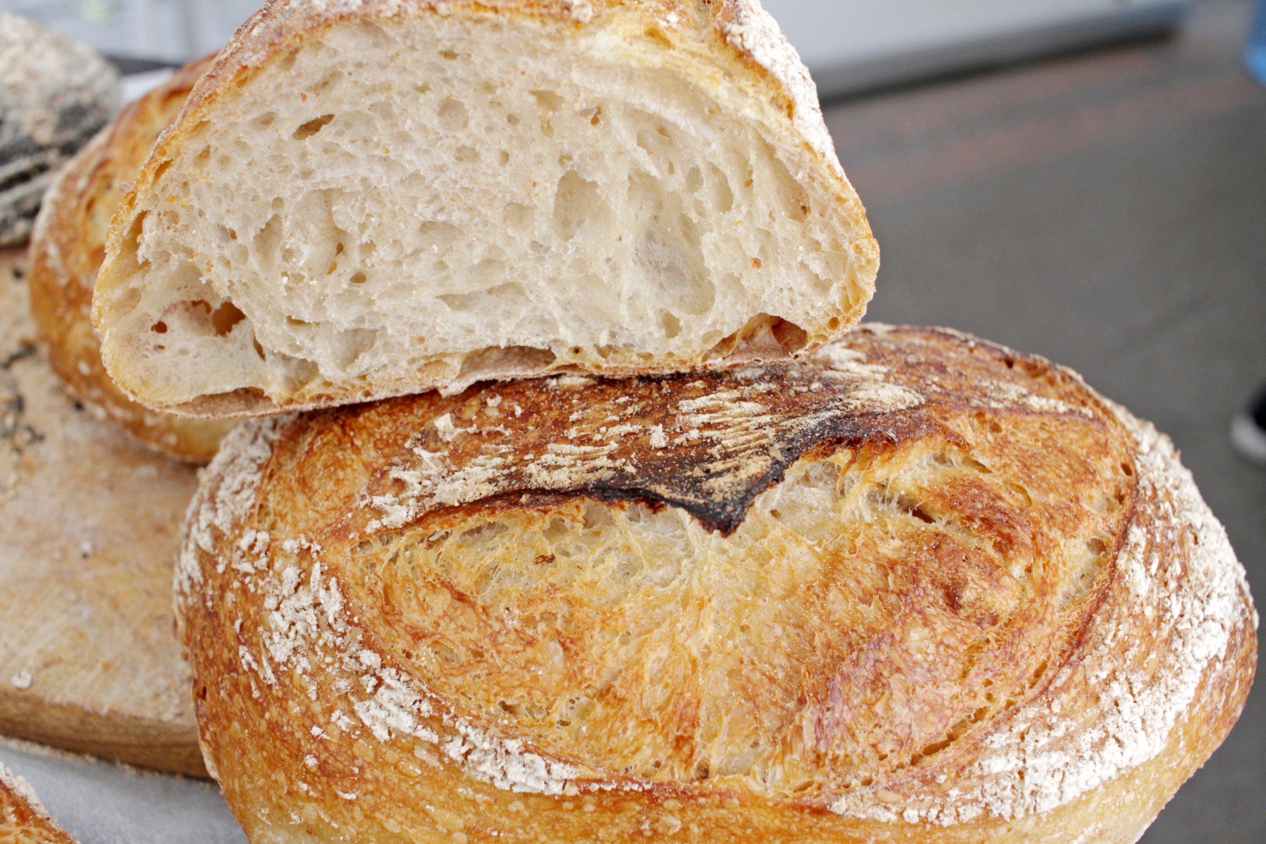 Sourdough Baking Supplies Vine + Plate