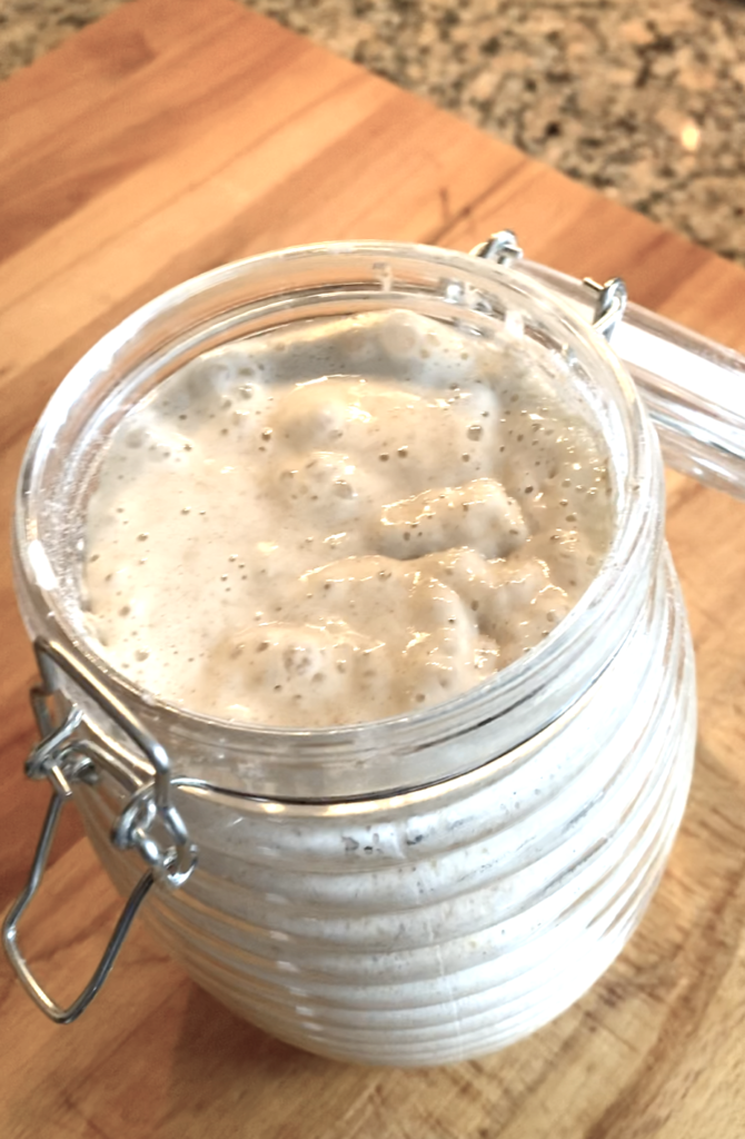 Bbc deals sourdough starter